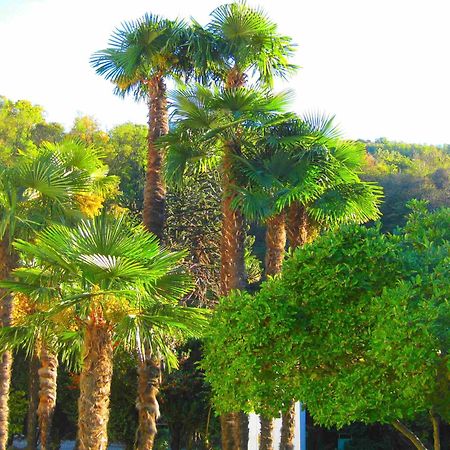Villa Garni Gardenia 카슬라노 외부 사진