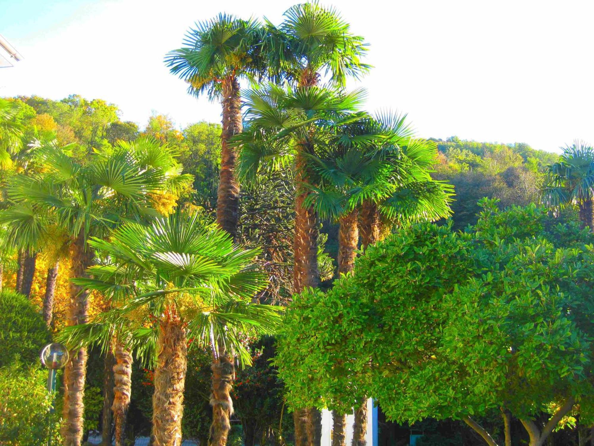 Villa Garni Gardenia 카슬라노 외부 사진